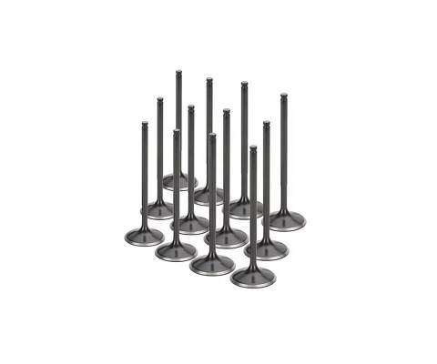 Chery Alia 1.6 Subap Takımı (2008–2011)