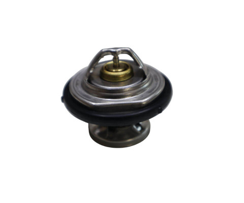 SsangYong Rexton Termostat 2003-2012