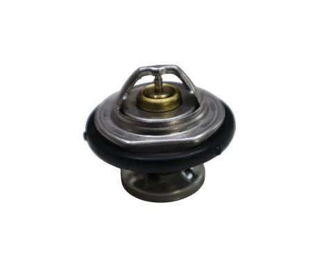 SsangYong Rexton Termostat 2003-2012